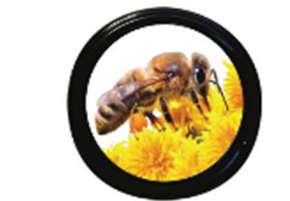 Honey Jar Lid - Yellow Flower