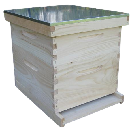 Starter Hive - Deep 9 5/8'' with Wooden Frames